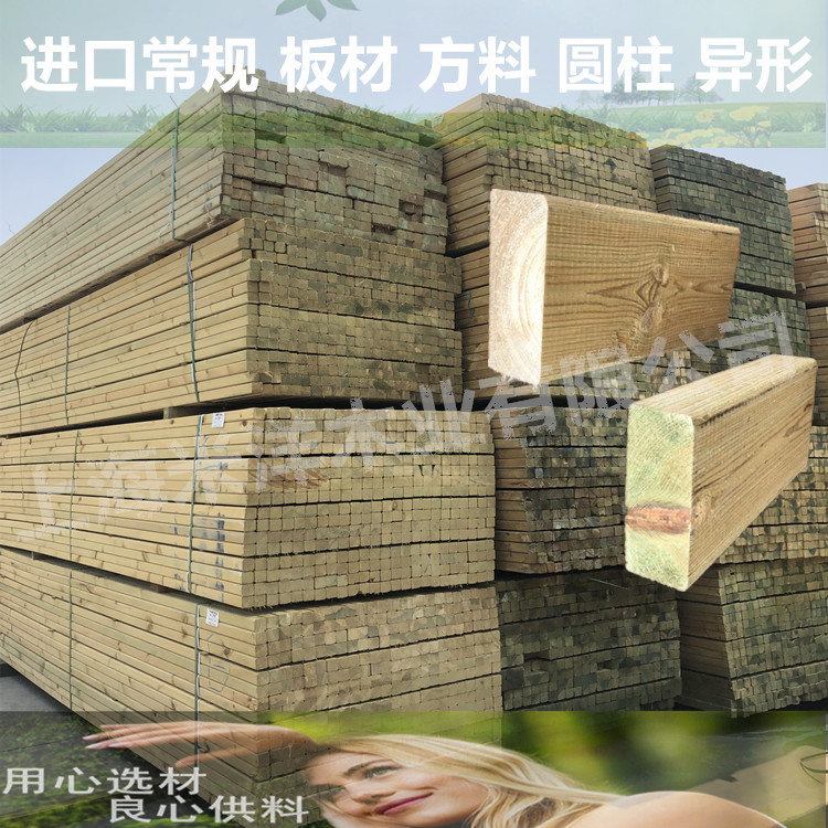 俄罗斯樟子松_1688.jpg
