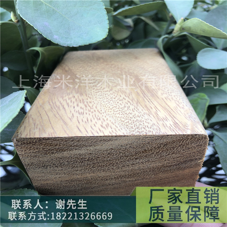 正品塔利 - 副本.jpg